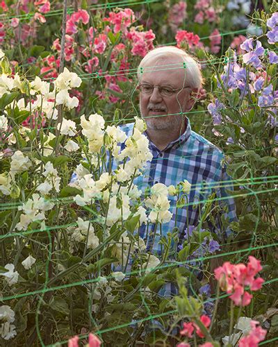 roger parsons sweet peas|operazione babalon.